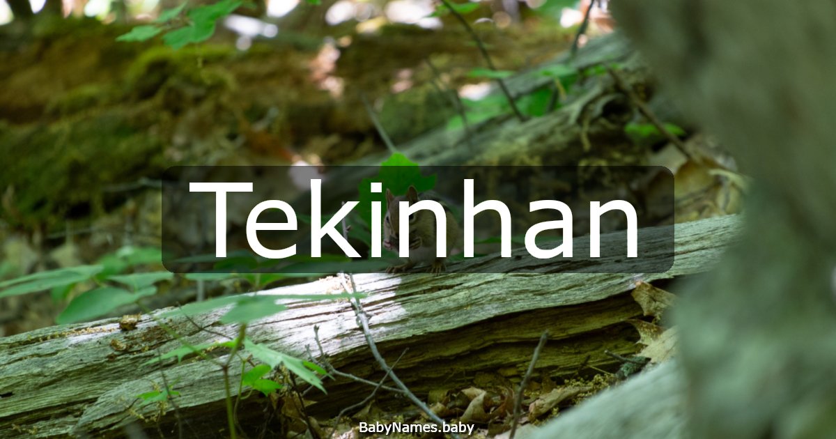 Tekinhan