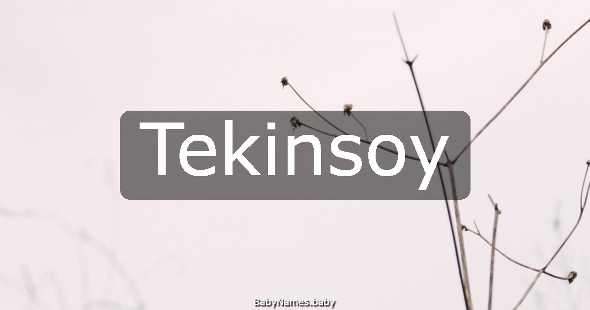 Tekinsoy