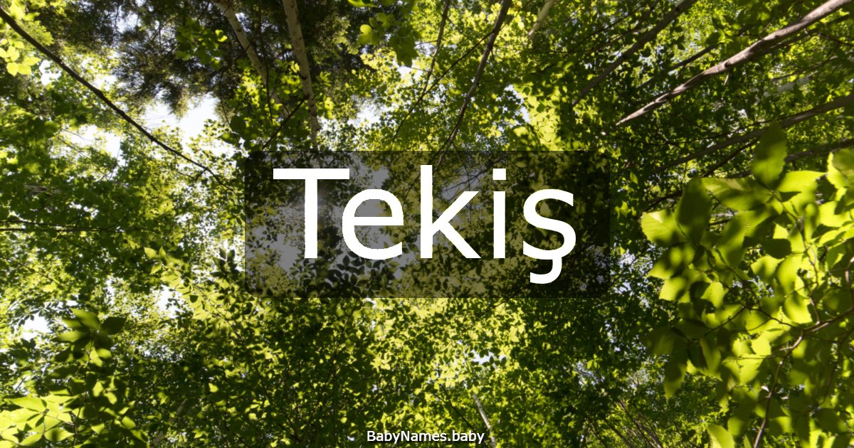 Tekiş