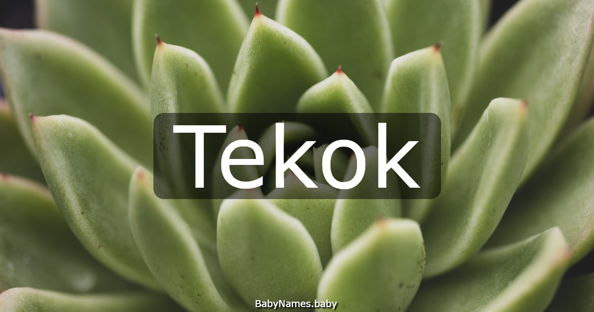 Tekok
