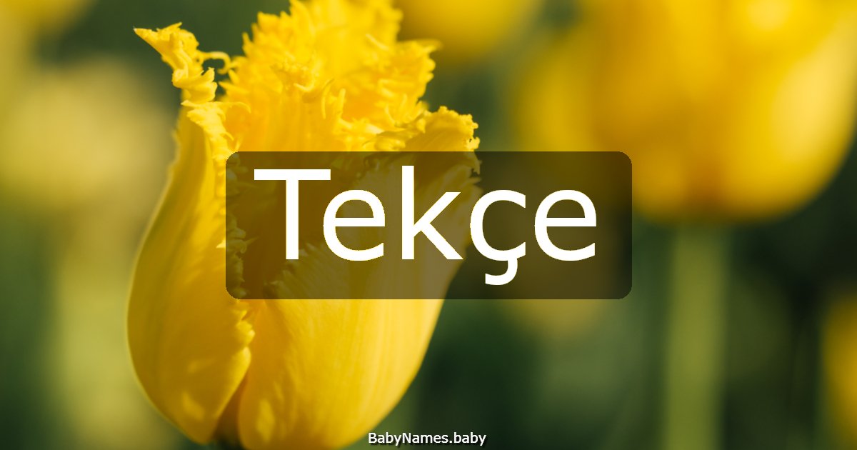 Tekçe