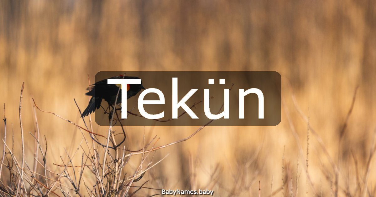 Tekün