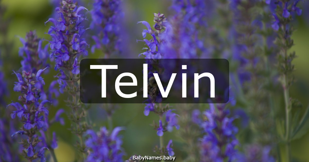 Telvin