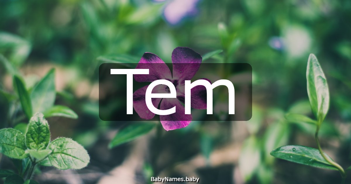 Tem