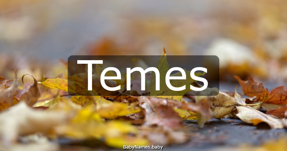 Temes