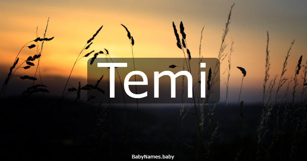 Temi