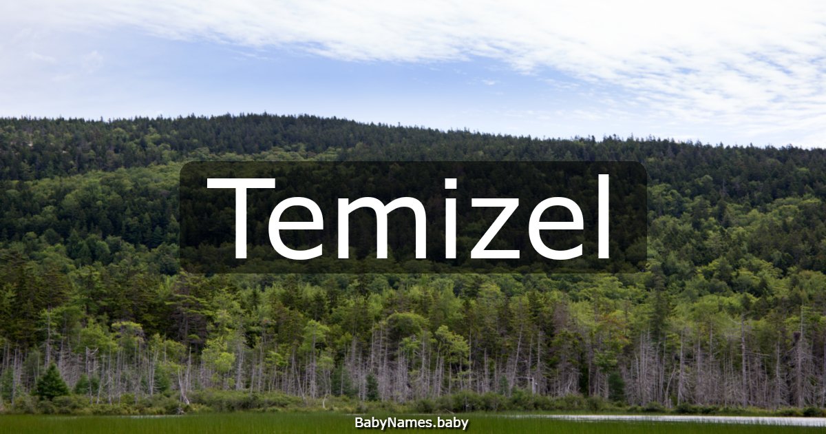 Temizel