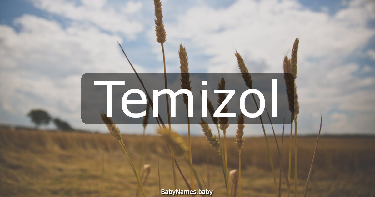 Temizol