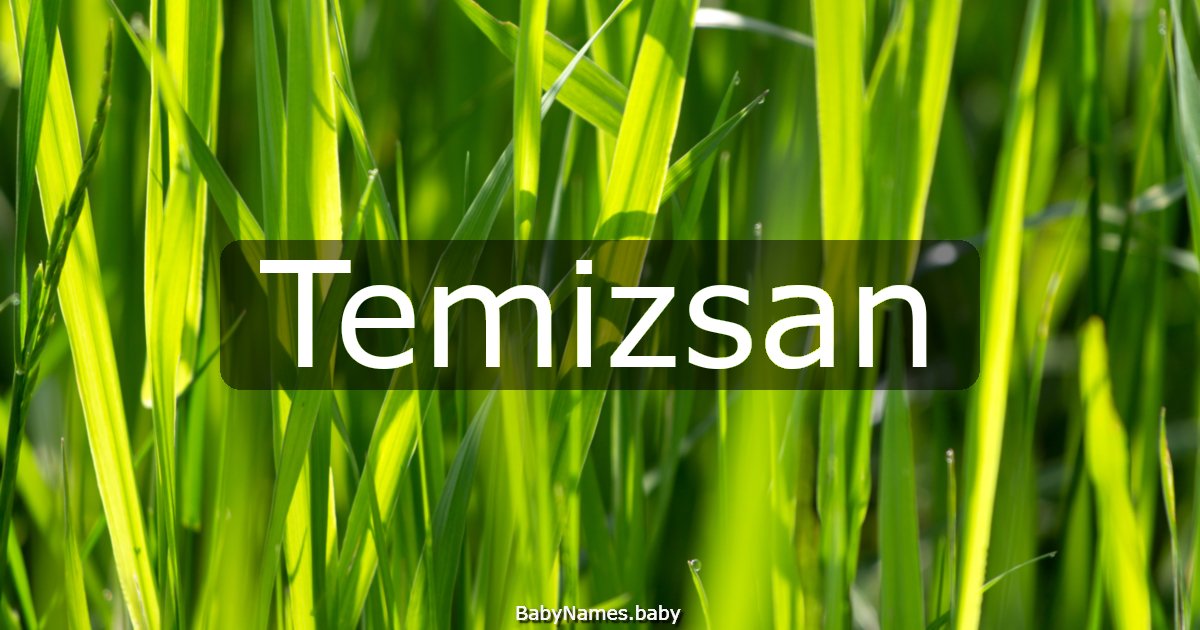 Temizsan