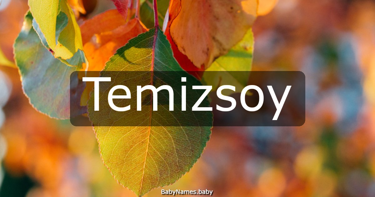 Temizsoy