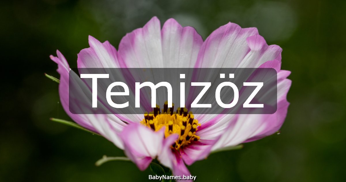 Temizöz