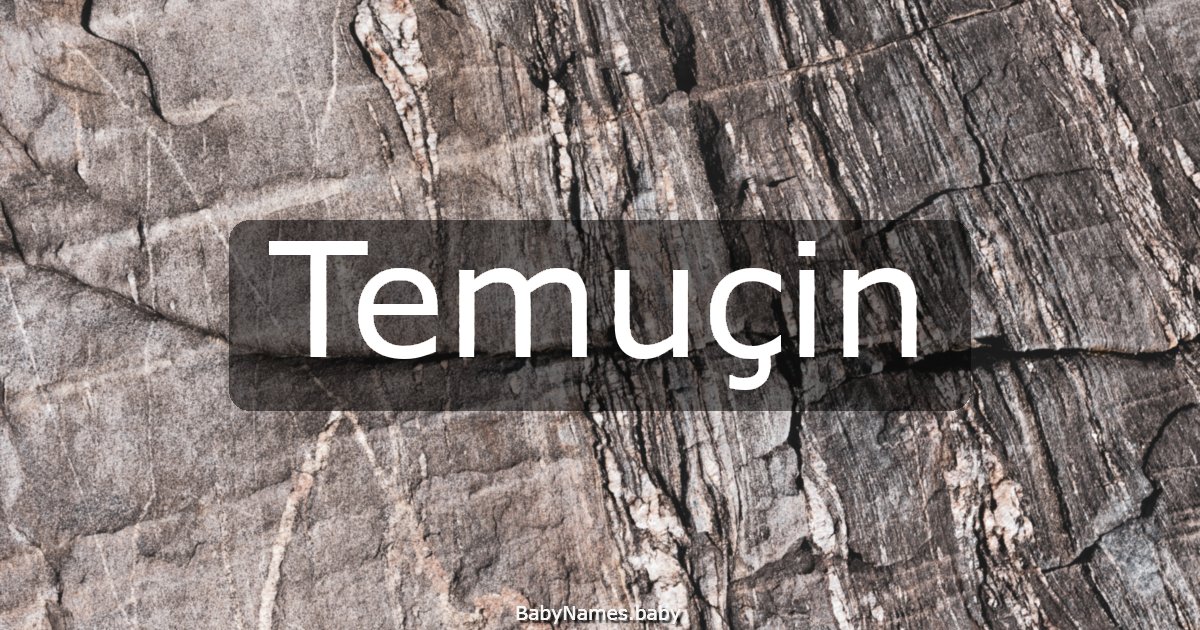 Temuçin