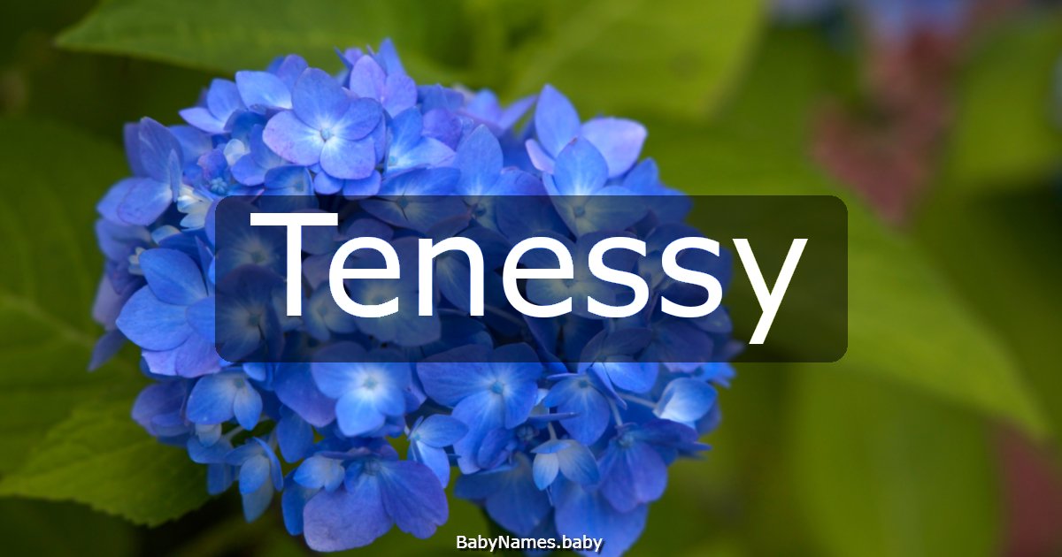 Tenessy