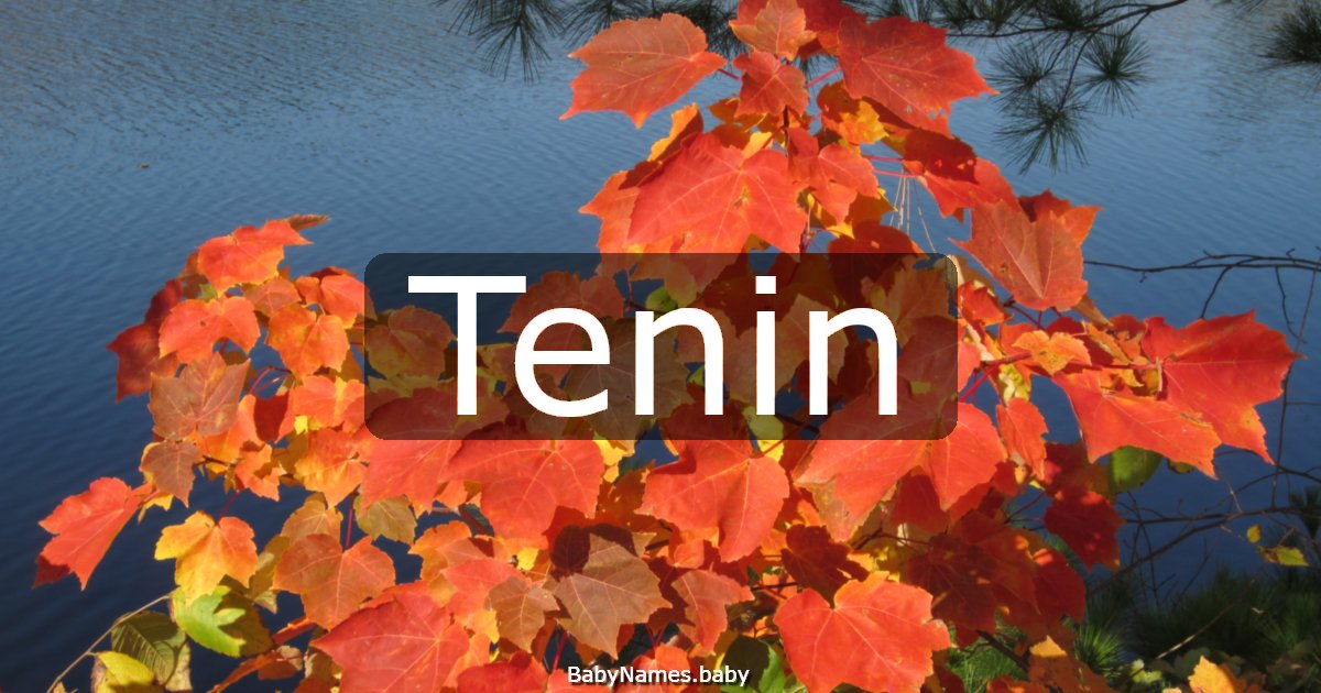 Tenin
