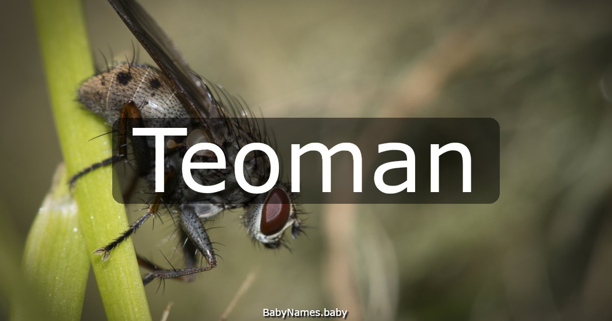 Teoman
