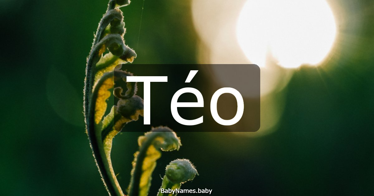 Téo