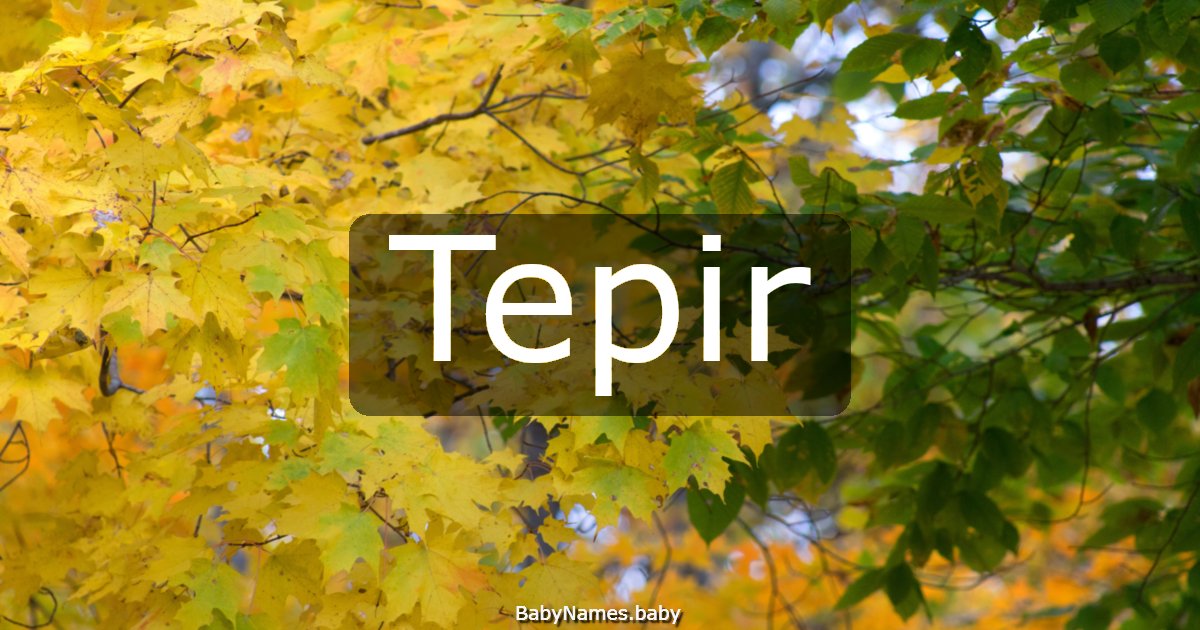Tepir