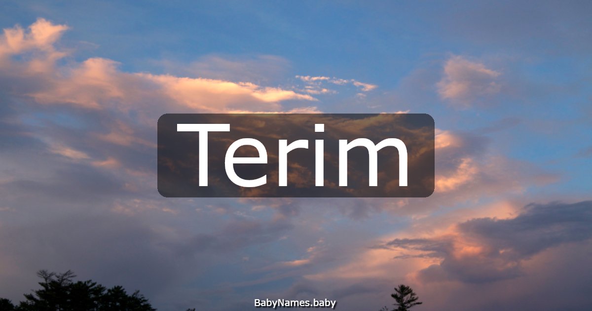 Terim