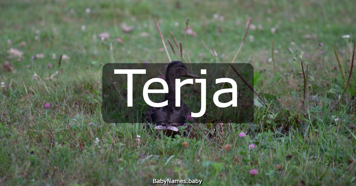 Terja