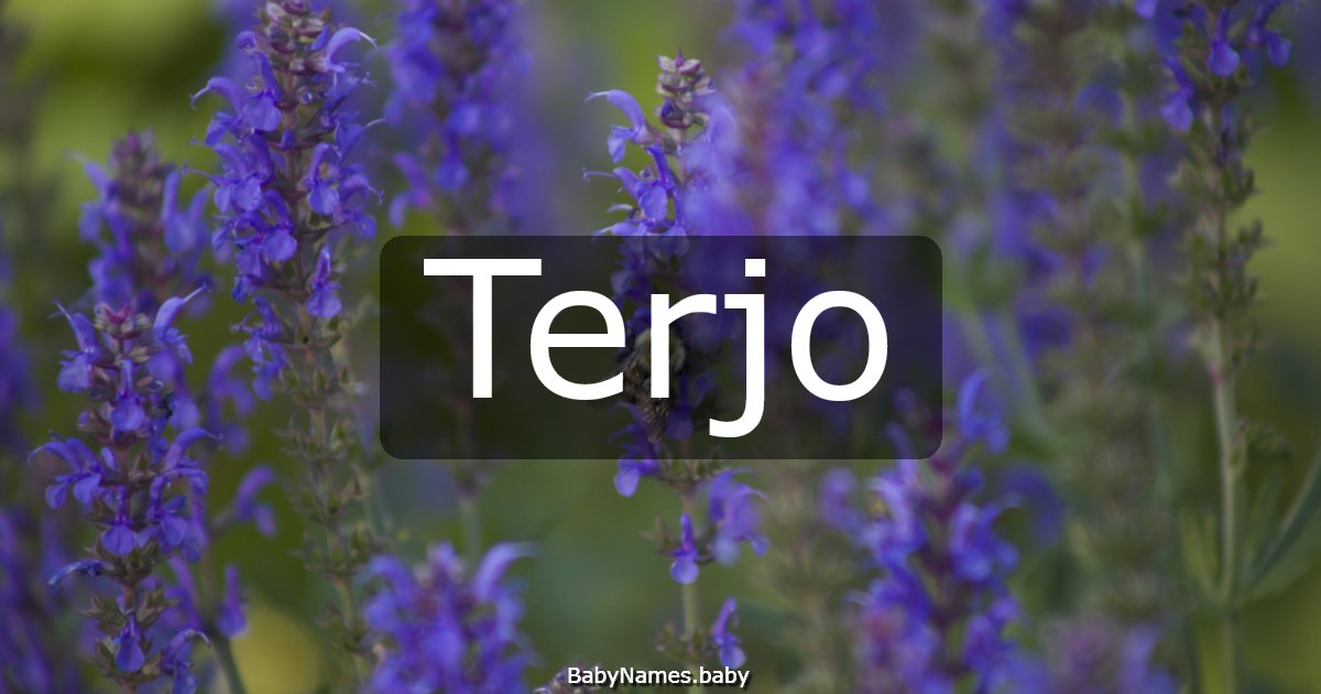 Terjo