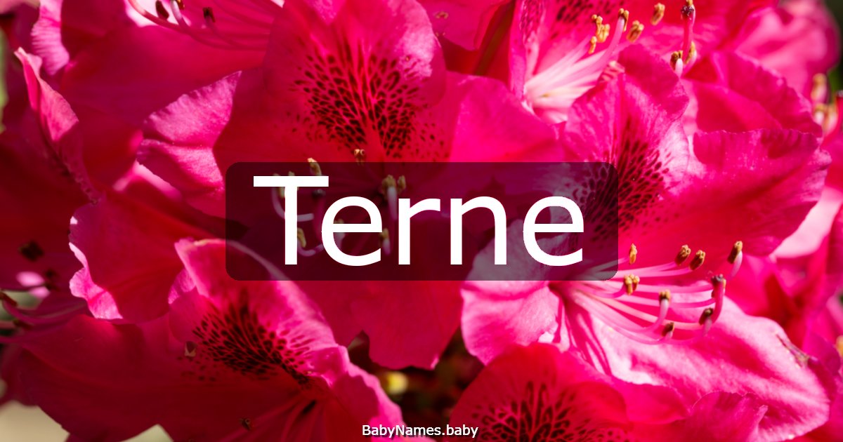 Terne