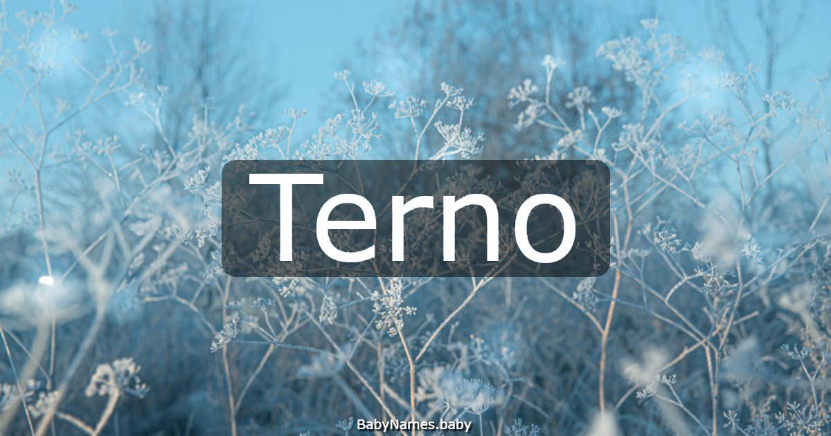Terno