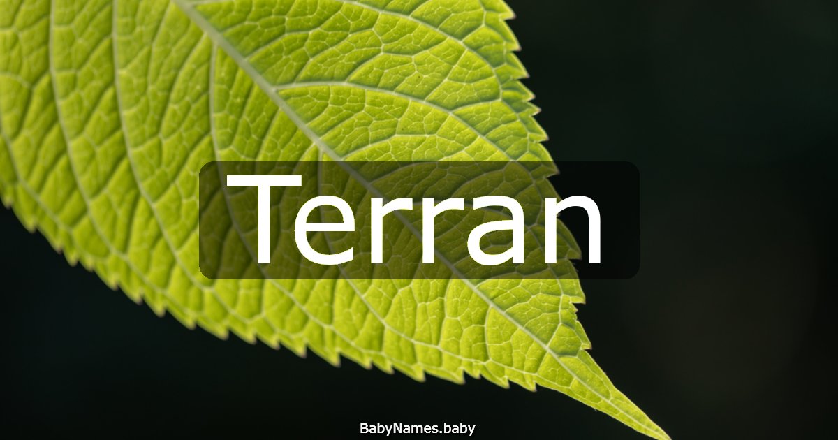 Terran