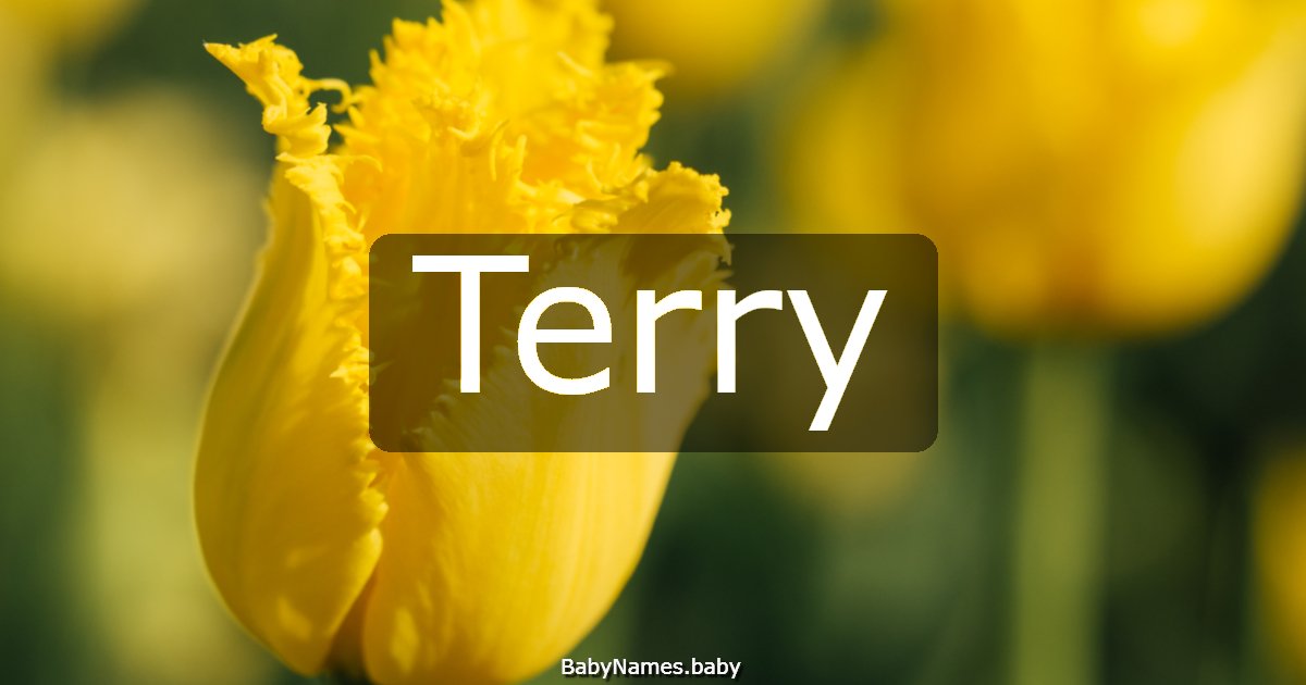 Terry