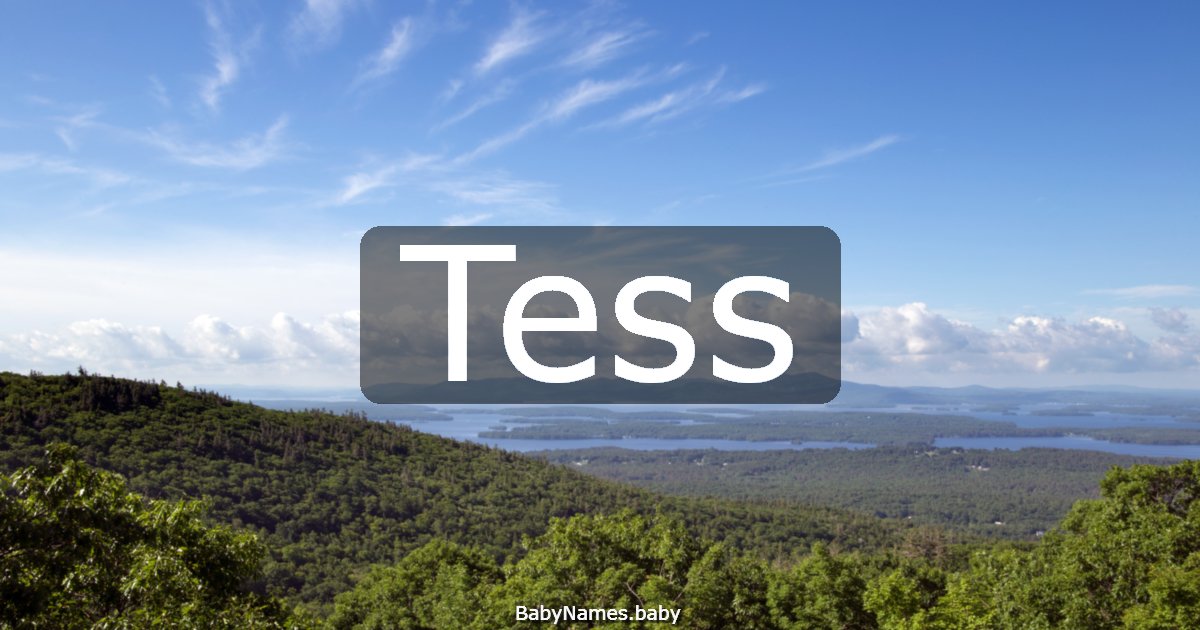 Tess