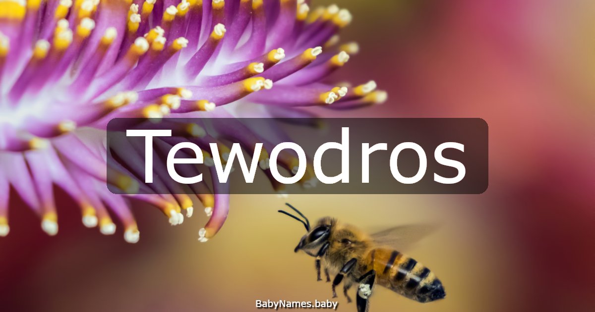 Tewodros