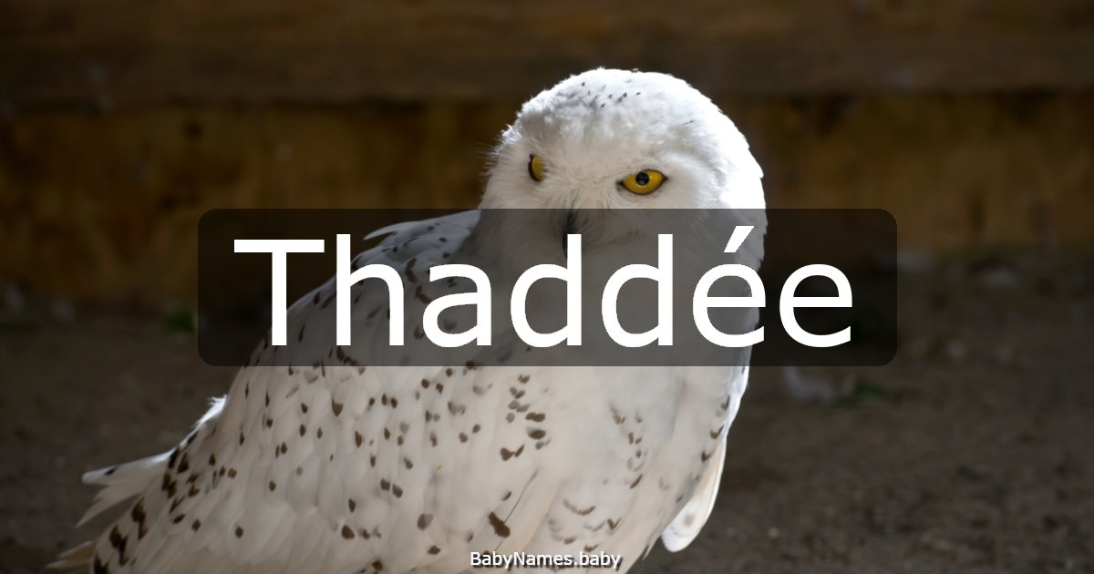 Thaddée