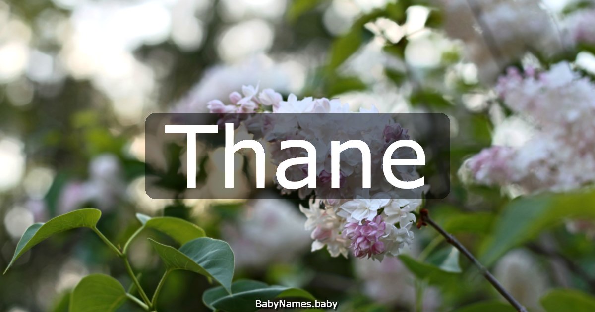 Thane