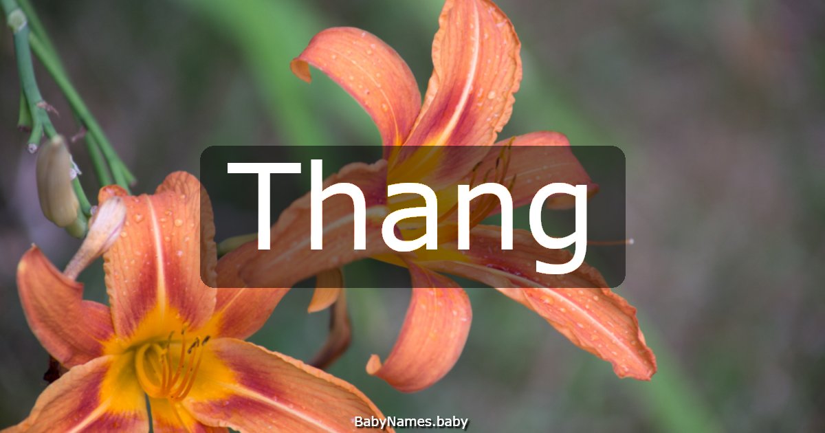 Thang
