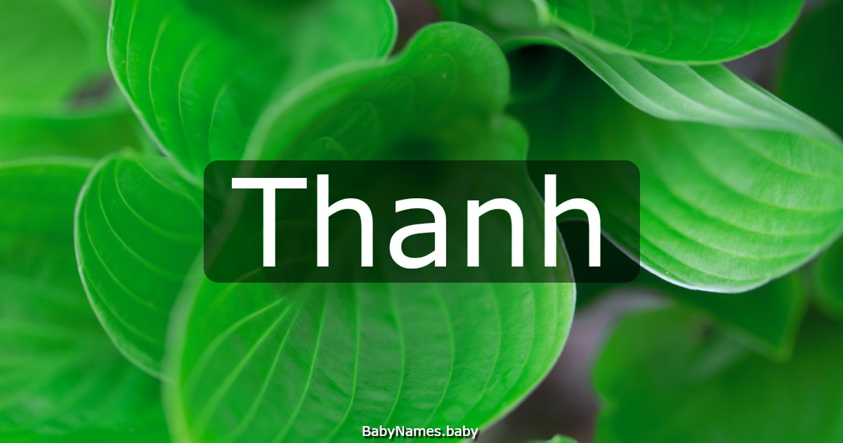 Thanh