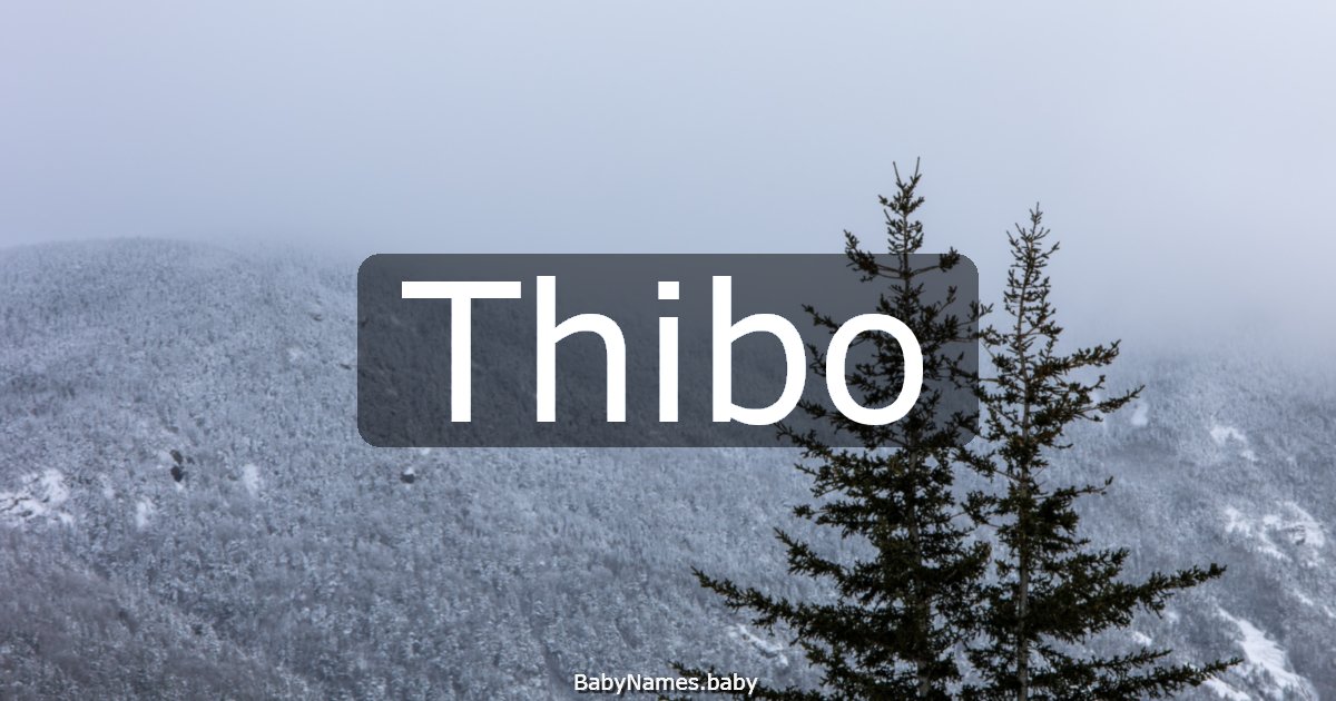 Thibo