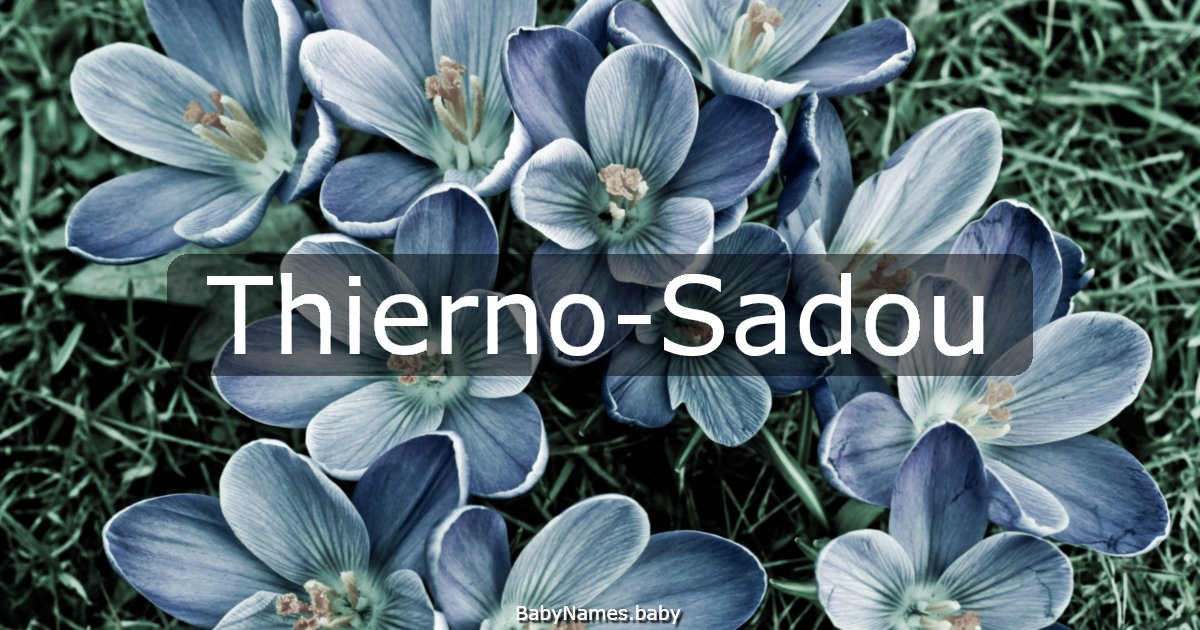 Thierno-Sadou