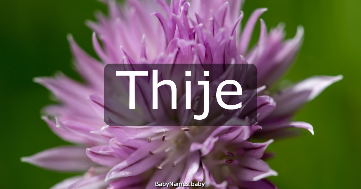 Thije