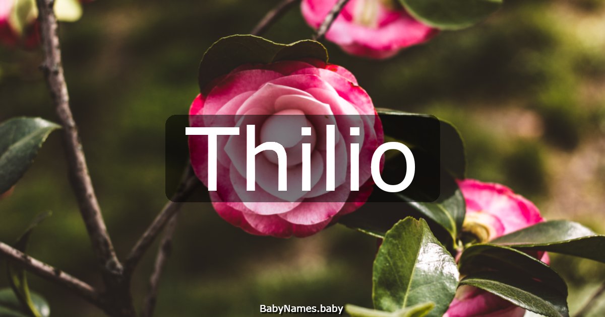 Thilio