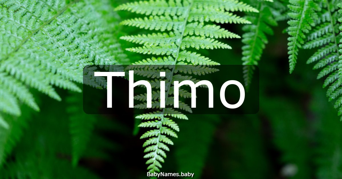 Thimo