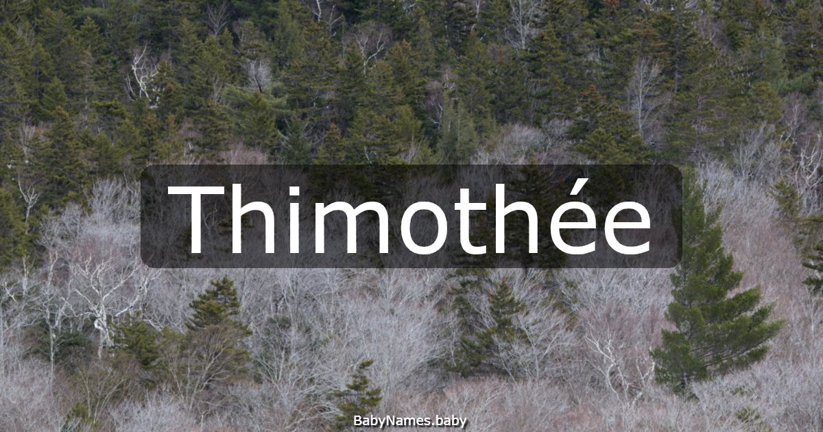 Thimothée