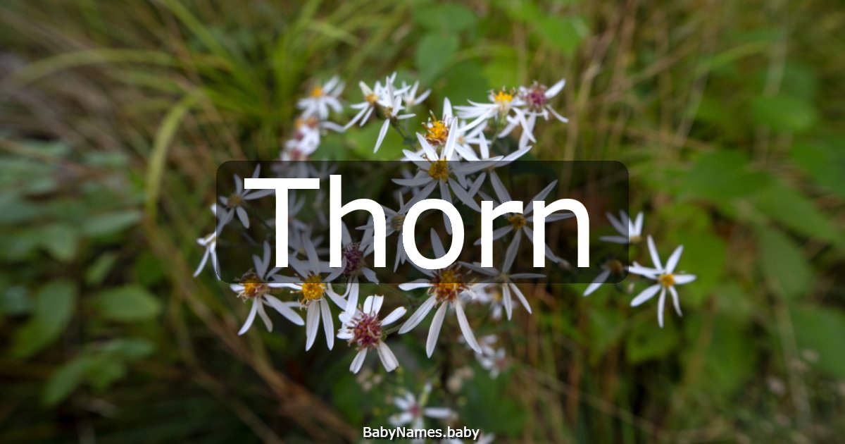 Thorn