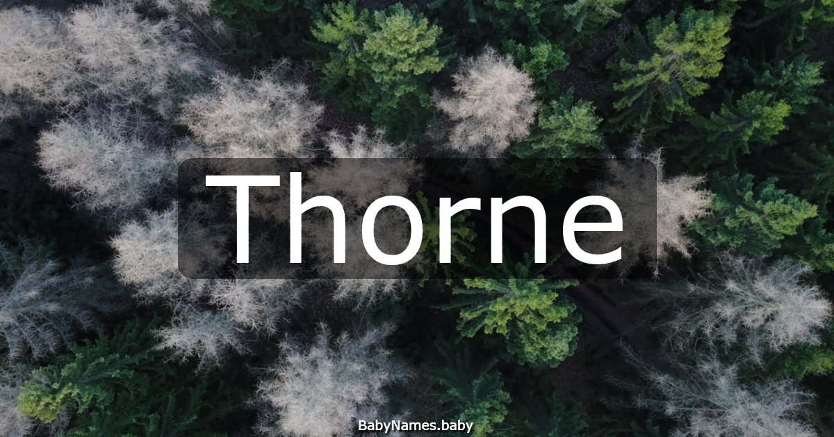 Thorne