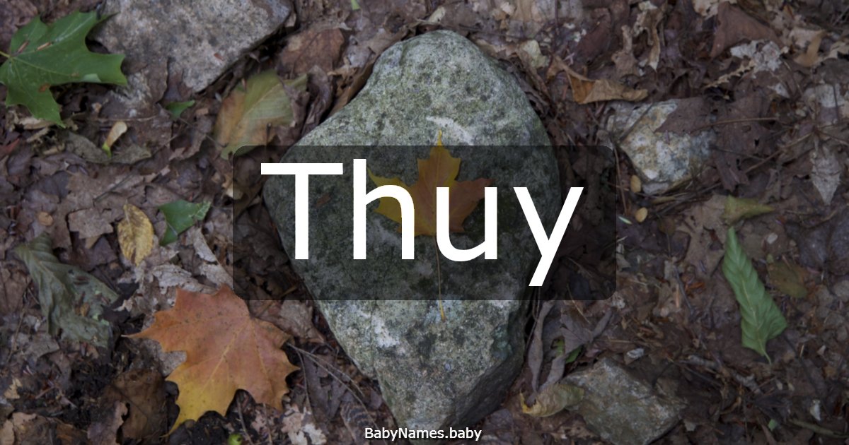 Thuy