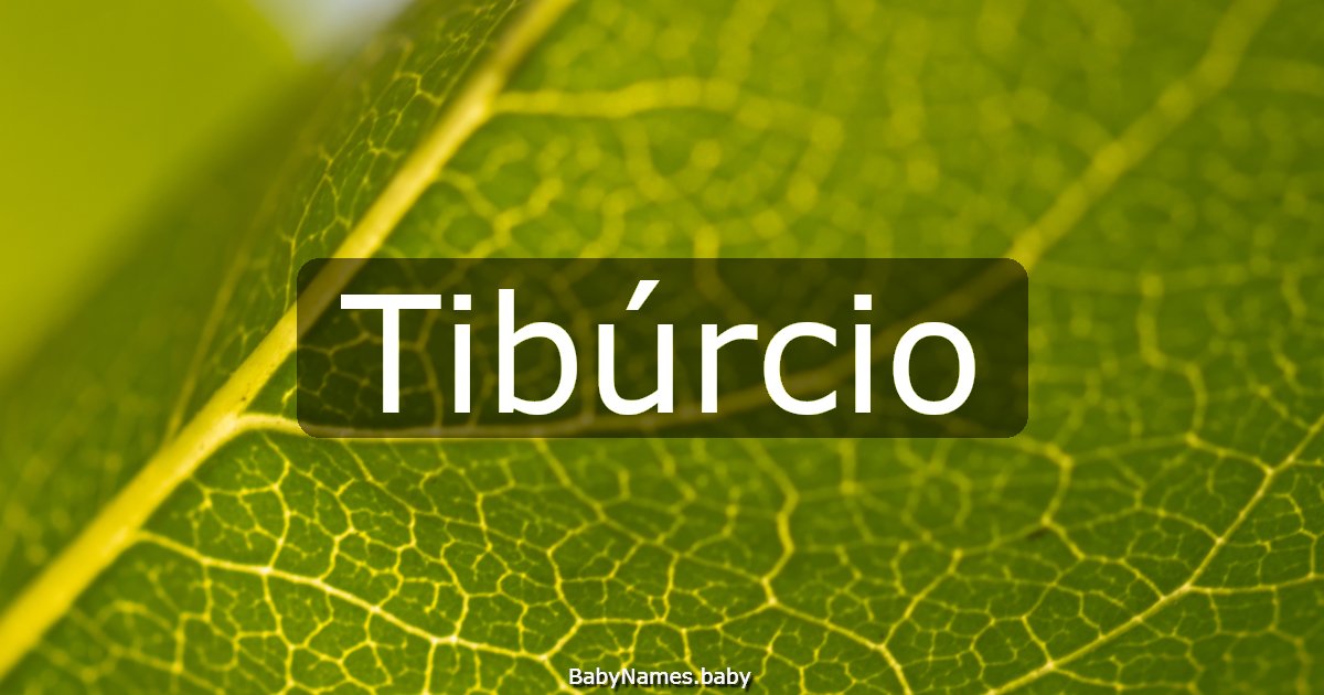 Tibúrcio