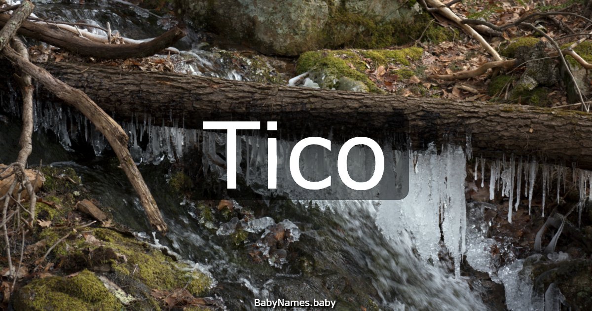 Tico