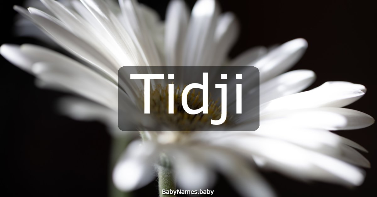 Tidji