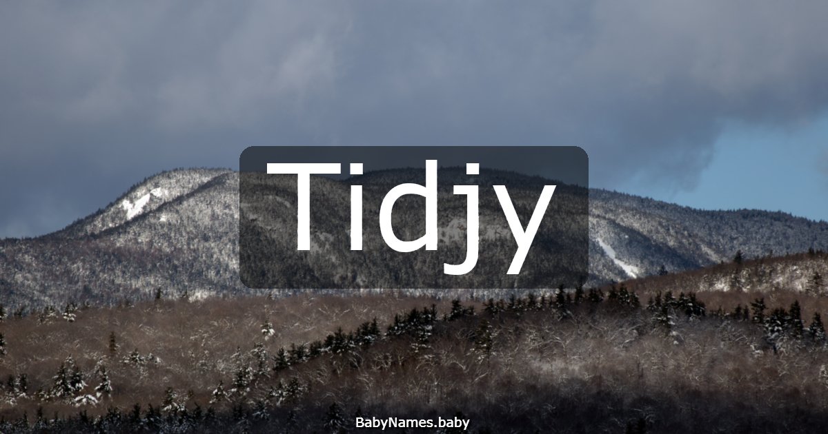 Tidjy