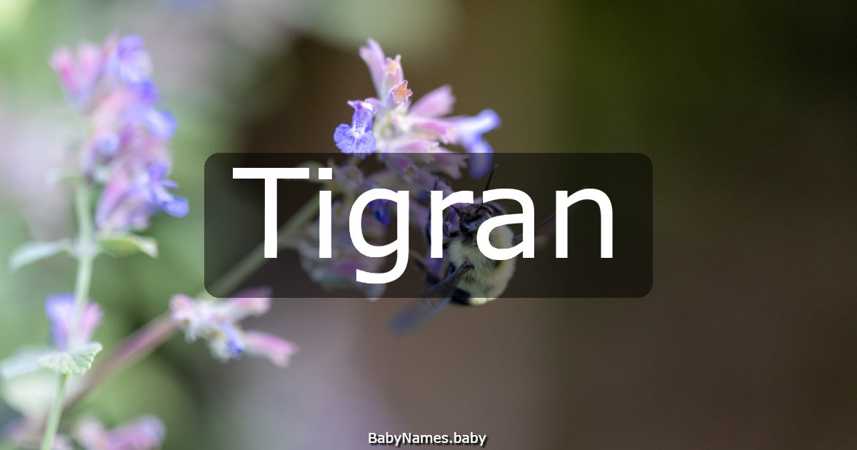 Tigran