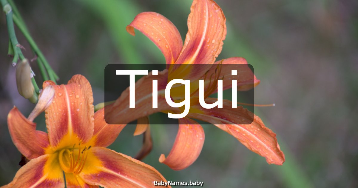 Tigui