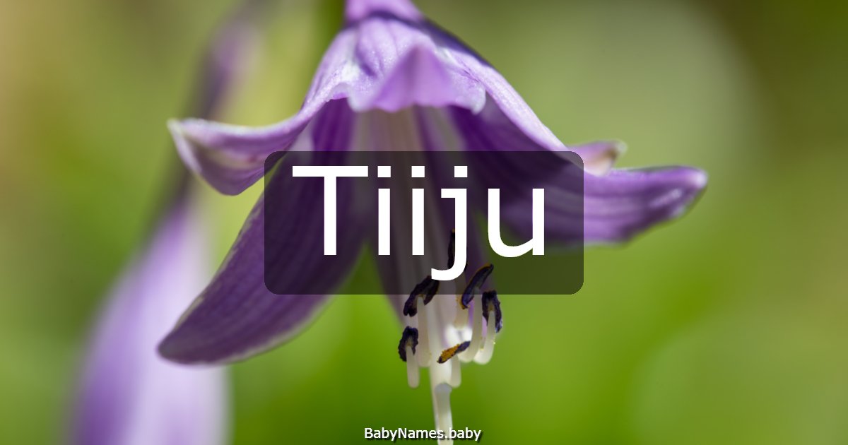 Tiiju